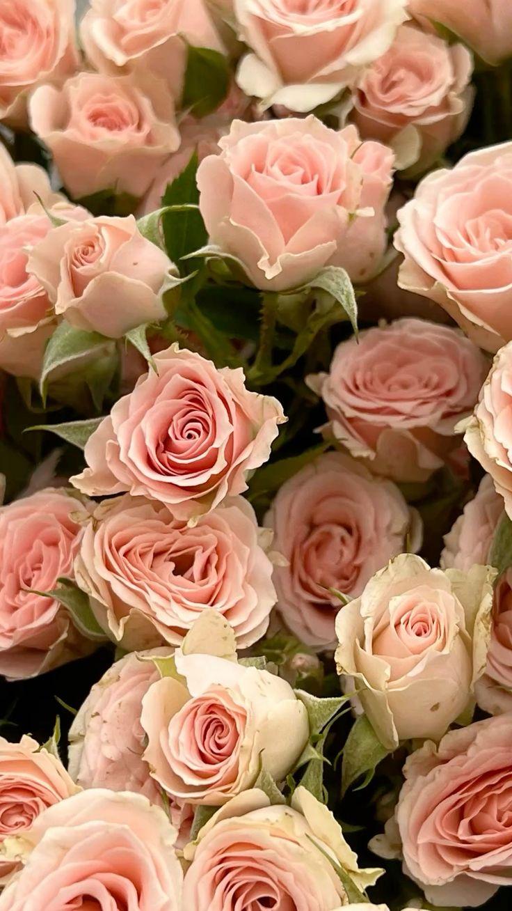 Enchanted Blossom Symphony: Nature's Harmony